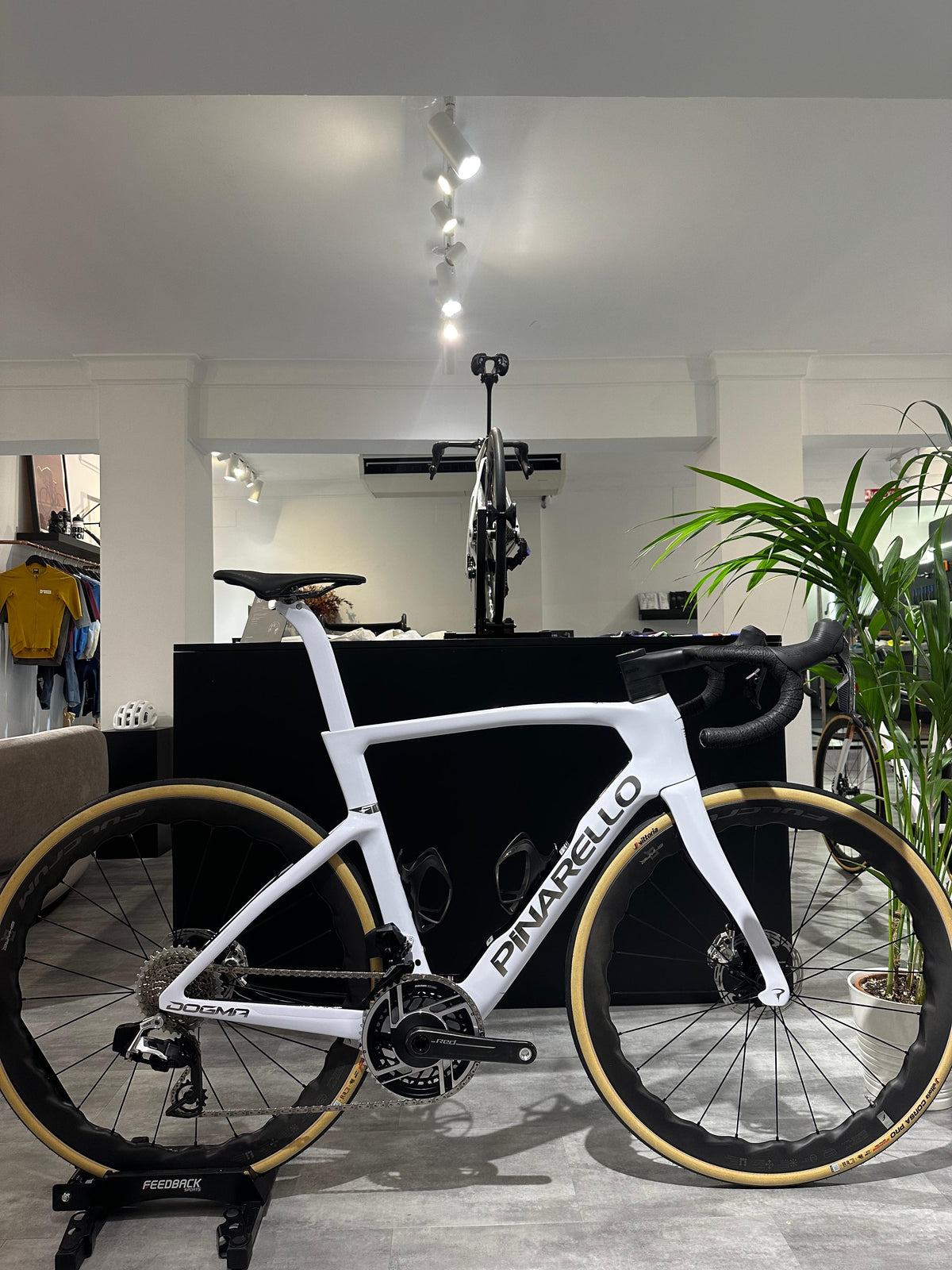 PINARELLO DOGMA F CARBON FRAME KIT White