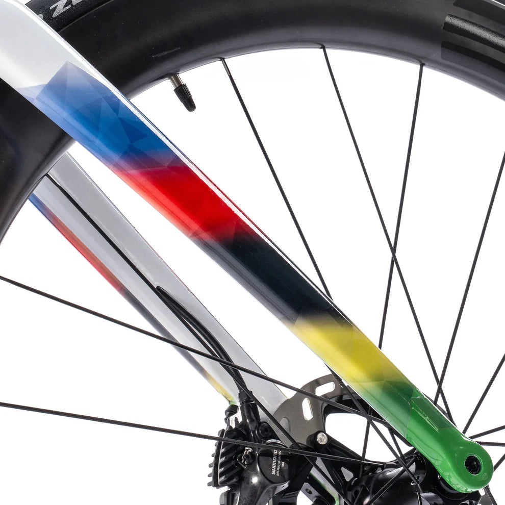 Colnago V5Rs World Champion Carbon Road Frame