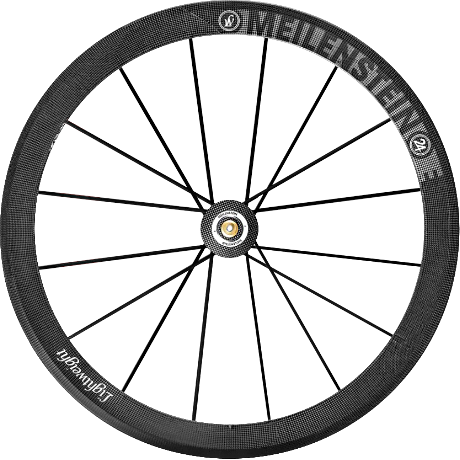 LightWeight Meilestein EVO Disc Wheels