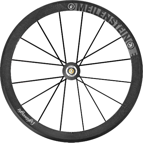 LightWeight Meilestein EVO Disc Wheels